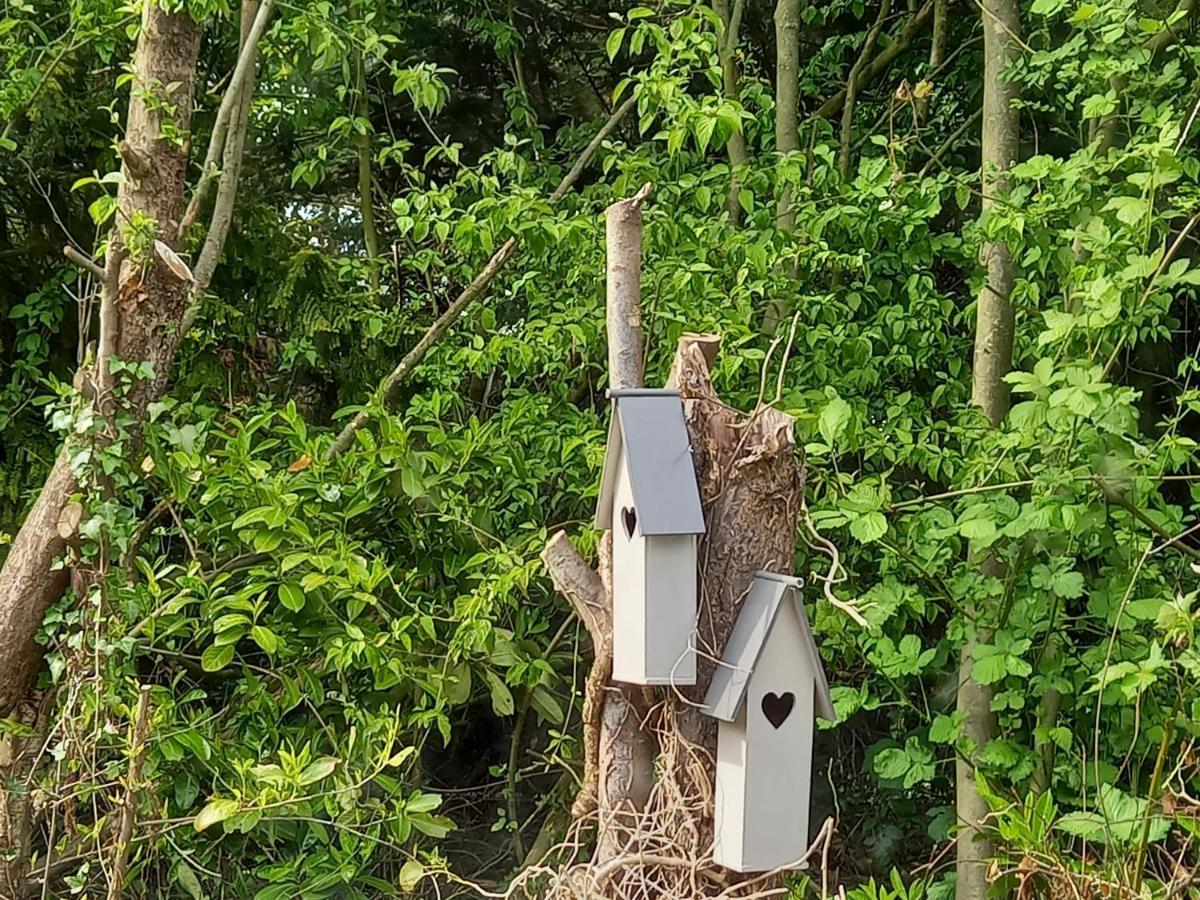 Natuurhuisje Eartswoud Aartswoud Exterior foto