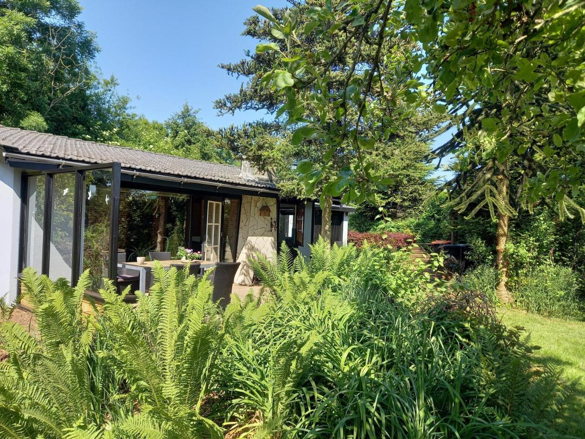 Natuurhuisje Eartswoud Aartswoud Exterior foto