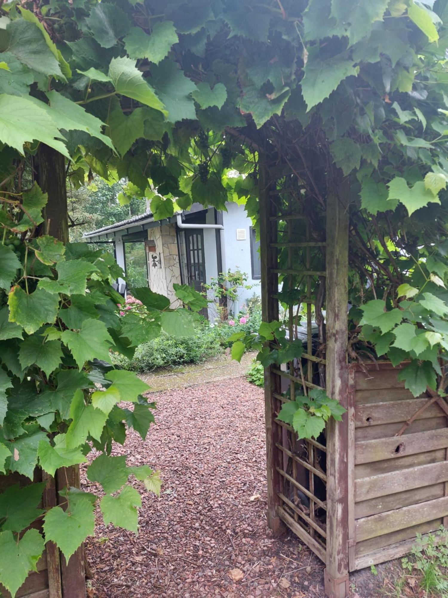 Natuurhuisje Eartswoud Aartswoud Exterior foto